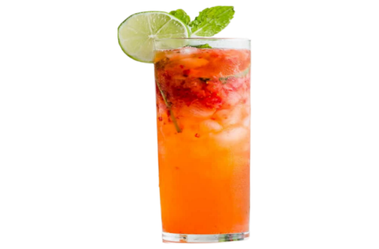 Watermelon Lime Mojito